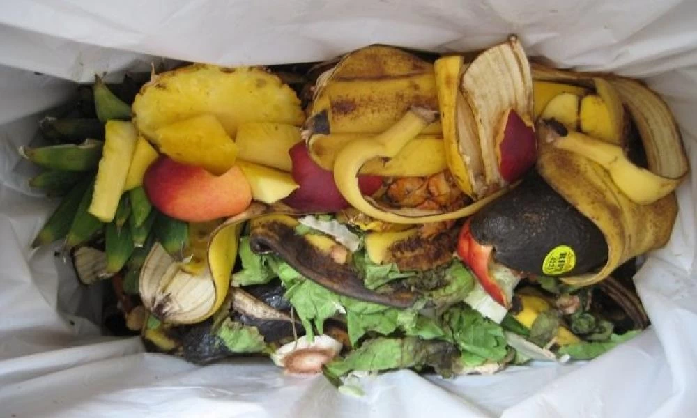 Πώς πρέπει να αποθηκεύετε σωστά τα τρόφιμα για την καλή υγεία